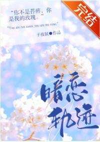 《暗恋轨迹》