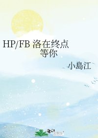 《HP/FB 洛在终点等你》
