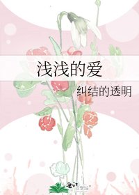 《浅浅的爱》