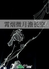 《霄烟微月澹长空》