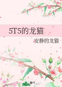 《5T5的龙猫》