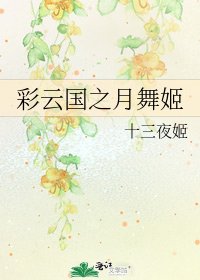彩云国之月舞姬