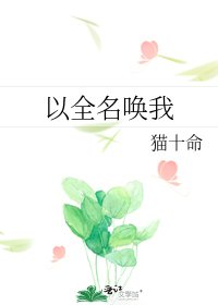 《以全名唤我》