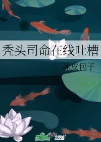 《秃头司命在线吐槽》