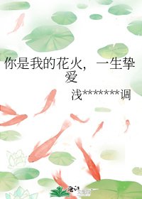 你是我的花火，一生挚爱