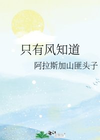 《只有风知岛》