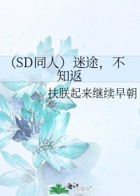 《(SD同人)迷途,不知返》