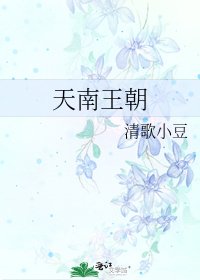《天南王朝》