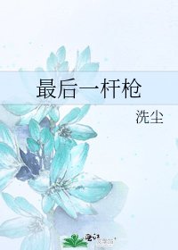 《最后一杆枪》