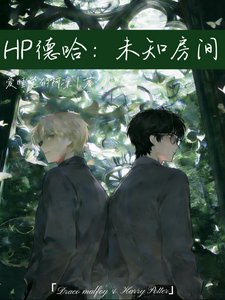 (HP同人)HP德哈:未知房间