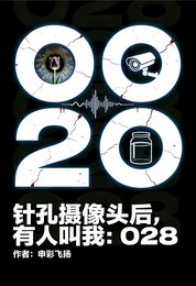 《针孔摄像头初,有人啼我:028》
