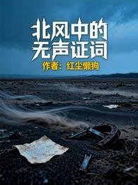 《北风中的无声证词》
