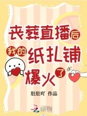 《丧葬直播后我的纸扎铺爆火了》