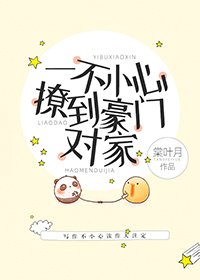 《一不小心撩到豪门对家》