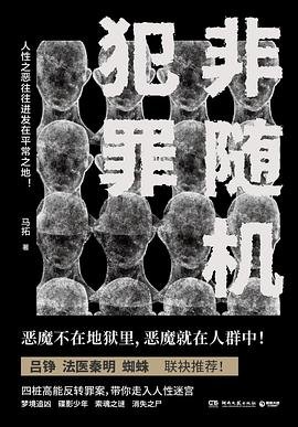 《非随机犯罪(出书版)》
