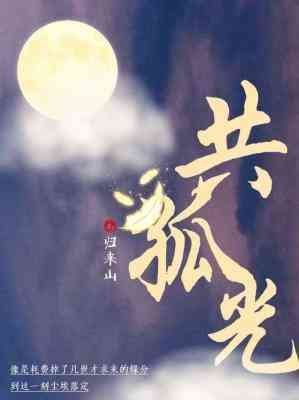 《共孤光》