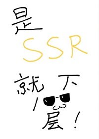 《是SSR就下一百层!》