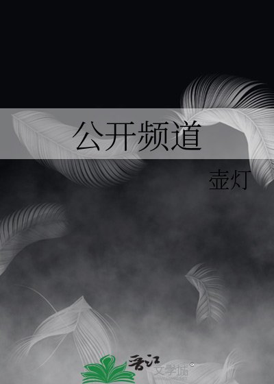《公开频道》