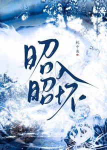 《昭昭入怀》