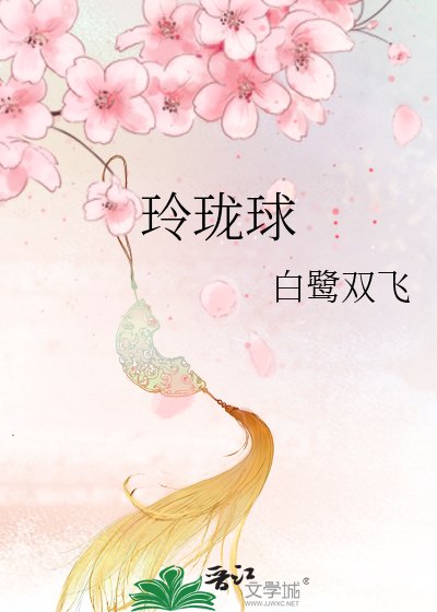 《玲珑亿》