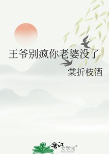《王爷别疯你老婆没了》