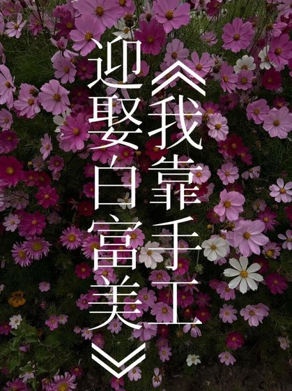 我靠手工迎娶白富美（虫族）