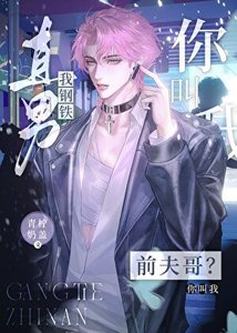 我钢铁直男,你喊我前夫哥?