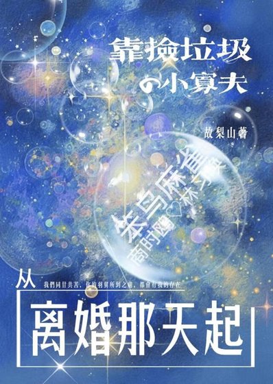 《靠捡垃圾的小寡夫从离婚那天起》