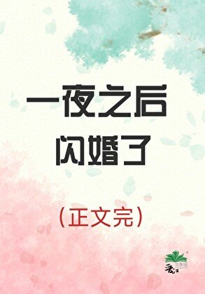 《一夜之后闪婚了》