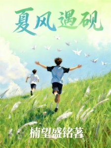 《夏风遇砚》
