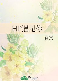 《HP遇见你》