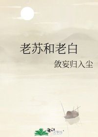 《老苏和老白》