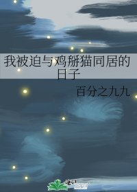 我被迫与鸡掰猫同居的日子