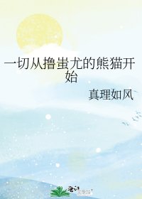 《一切从撸蚩尤的熊猫开始》