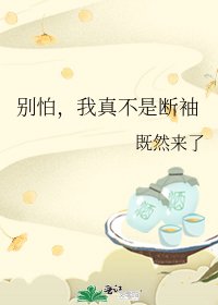 《别怕,我真不是断袖》