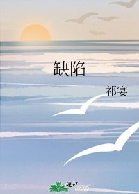 《缺陷》