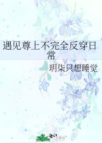 《遇见尊上不完全反穿日常》