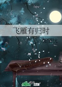 《飞雁有归时》
