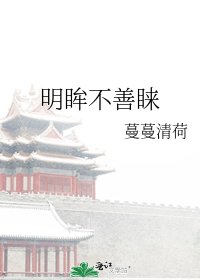 《明眸不善睐》