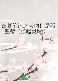 《盗墓笔记之天呐!是狐狸精(张起灵bg)》