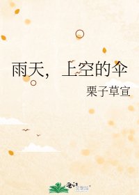 《雨天,上空的伞》