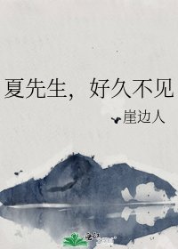 《夏先生,好久不见》