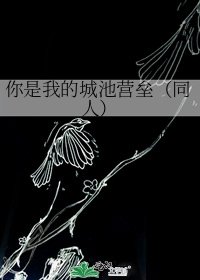 《你是我的城池营垒(同人)》