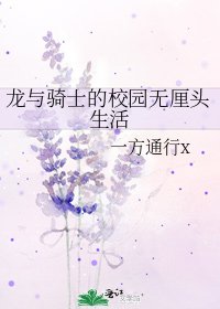 《龙与骑士的校园无厘头生活》