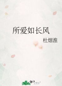 《所爱如长风》