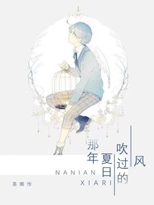 《那年夏日吹过的风》