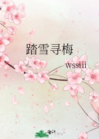 《踏雪寻梅》
