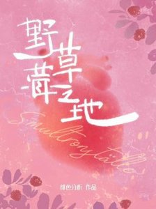 《野草莓之地》