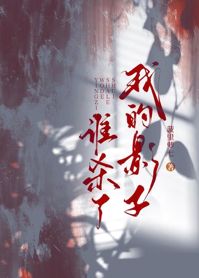 《谁杀了我的影子》