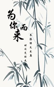 《为你而来(清穿)》